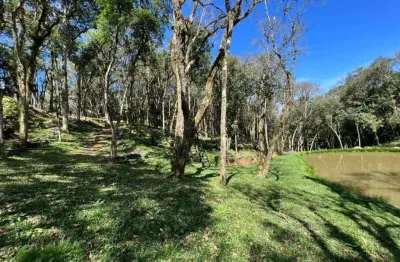 Fazenda à venda na Rua Carlos Kusma, Campestre da Faxina, São José dos Pinhais