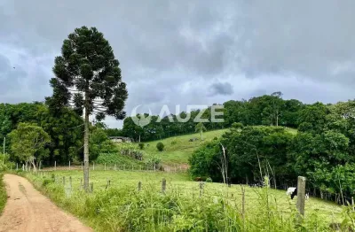 Chácara à venda 3 alqueires e 907,50 m² areia branca dos assis, mandirituba, pr