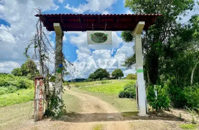 Chácara à venda com 3 casas construídas e salão de eventos -com  60.545 m² total em são josé dos pi