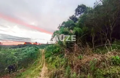 Excelente oportunidade !!!chácara à venda, colônia murici, são josé dos pinhais, pr