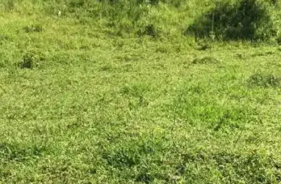 Chácara / sítio à venda na Estrada Geraldo Cursino de Moura, 2, Registro, Taubaté