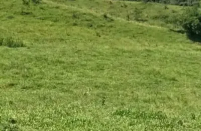 Chácara / sítio à venda na Estrada Geraldo Cursino de Moura, 1, Registro, Taubaté