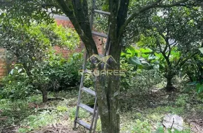 Oportunidade de investimento: terreno estratégico e versátil para projetos de alto retorno