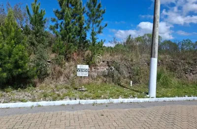 Terreno à venda na Alfândega, Garibaldi 