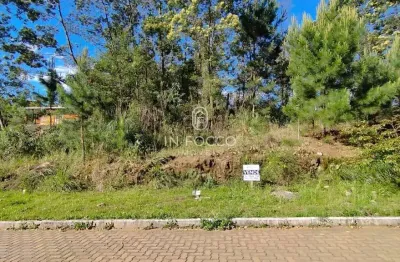 Terreno à venda na Alfândega, Garibaldi 