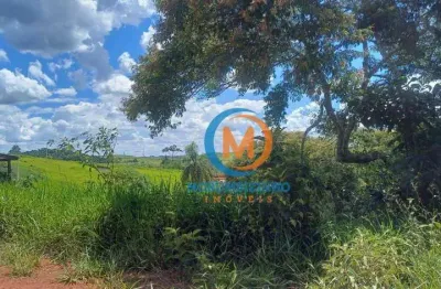 Terreno à venda, 1000 m² por r$ 120.000,00 - chácaras condomínio recanto pássaros ii - jacareí/sp