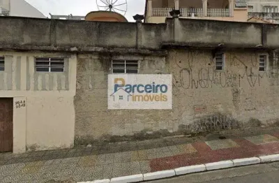 Terreno à venda, 800 m² por r$ 2.300.000,00 - vila matilde - são paulo/sp