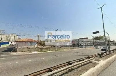 Terreno, 1.500 m² - venda ou alugas - vila califórnia - são paulo/sp