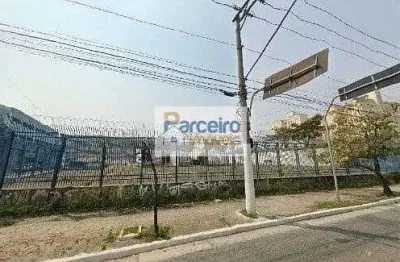 Terreno para aluguel,  jardim são cristóvão, são paulo