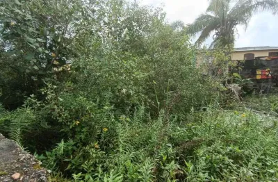 Terreno para venda em itanhaém, jardim das palmeiras