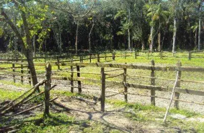 Chácara para venda em itanhaém, coronel, 1 dormitório, 1 banheiro