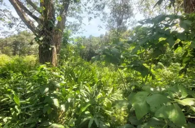 Terreno à venda na Avenida Flacides Ferreira, 796, Balneário Gaivota, Itanhaém
