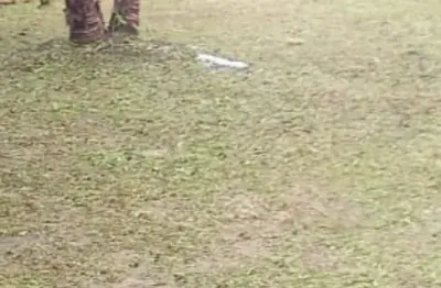 Terreno à venda na Rua 5, 00, Maiobão, Paço do Lumiar