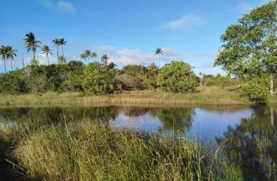 Vende-se área exclusiva de 14.000 m² em diogo – vista mar e acesso a  rio!