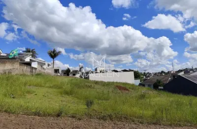 Terreno à venda em São Luiz, Pato Branco 
