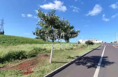 Terreno à venda no Cadorin, Pato Branco 