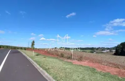 Terreno à venda no Cadorin, Pato Branco 