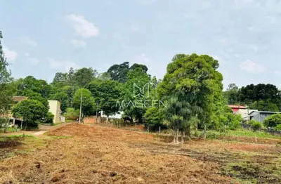 Chácara / sítio à venda no Pagnoncelli, Pato Branco 