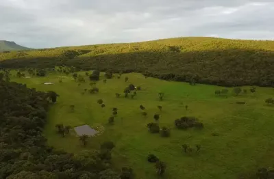 Fazenda para pecuária à 35km de cáceres-mt codigo: 88255