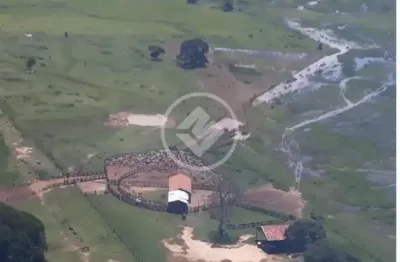 Fazenda localizada em poconé mato grosso, com aproximadamente 88.000 hectares (oitenta e oito mil hectares) com pista de avião de 650m. codigo: 124156
