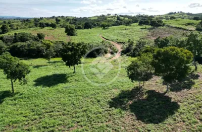 Vendo uma fazenda com 301 hectares a 80 km de várzea grande sentido cáceres sendo 27km de estrada de chão. codigo: 129130