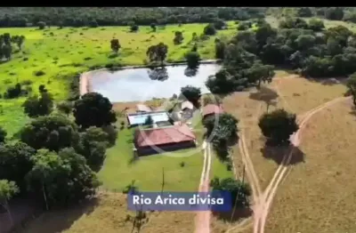 Fazenda a venda região olho d'agua  50 km de cuiabá  beira do asfalto (+ ou - 50 metros somente para acesso a fazenda.) 600 hectares sendo 350 formados codigo: 130242