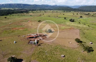 Fazenda à venda – 695,50 hectares – cuiabá/mt – localização privilegiada na pista dupla codigo: 157099