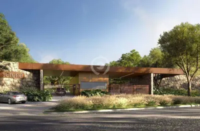 Terreno à venda em Novo Hamburgo, Canudos, com 479.15 m², Residencial Serena