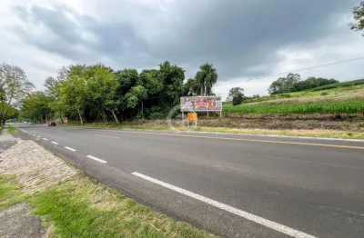 Terreno à venda em dois irmãos, centro, com 25102 m²