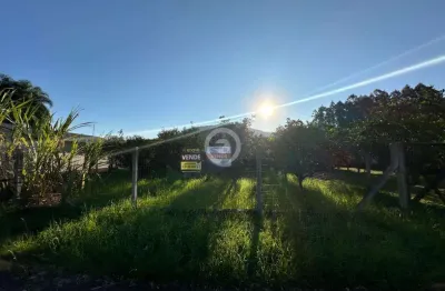 Terreno à venda em picada café, picada holanda, com 509.81 m²