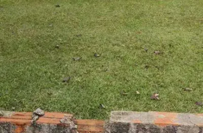 Terreno em condomínio fechado à venda na Rua Vidal de Araújo, Jardim Portal da Primavera, Sorocaba