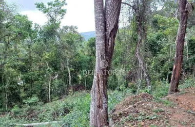 Terreno à venda, 537 m² por r$ 79.000,00 - pessegueiros - teresópolis/rj