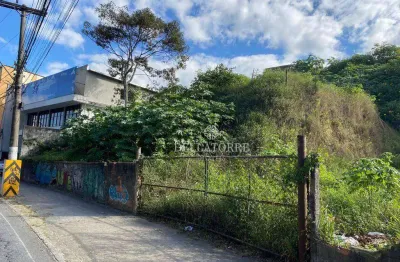 Terreno à venda, 567 m² por r$ 980.000,00 - alto - teresópolis/rj
