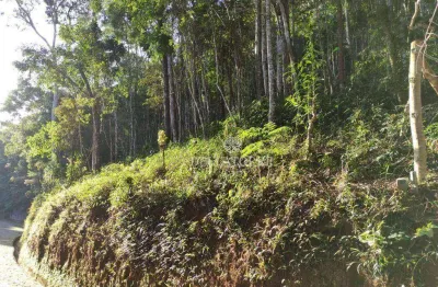 Terreno à venda, 1750 m² por r$ 260.000 - parque do imbui - teresópolis/rj