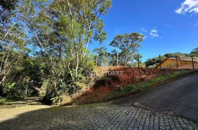 Terreno à venda na Rua Embaixador Altamir de Moura, Carlos Guinle, Teresópolis