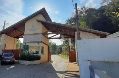 Terreno à venda, 290 m² por r$ 250.000,00 - prata - teresópolis/rj