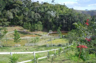 Propriedade rural multifamiliar, 4 casas, 2 lagos, açude, nascente, árvores frutíferas, à venda, 210.000 m² por r$ 450.000,00 - centro - sumidouro/rj