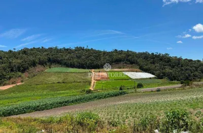 Sítio com 3 dormitórios à venda, 250000 m² por r$ 1.800.000,00 - vieira - teresópolis/rj