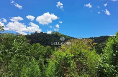 Terreno à venda, 4010 m² por R$ 300.000,00 - Vargem Grande - Teresópolis/RJ