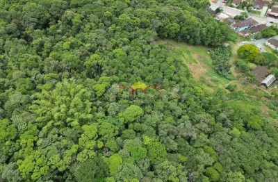 Terreno à venda no Boehmerwald, Joinville 