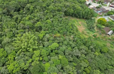 Terreno à venda no Boehmerwald, Joinville 