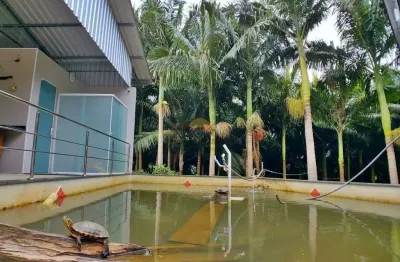 Fazenda à venda na Zona Rural, Massaranduba 