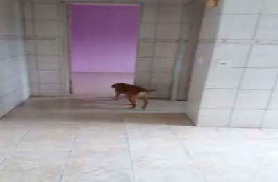 Casa, Residencial para Venda, Jardim Quisisana (Vila Nova Curuçá), São Paulo