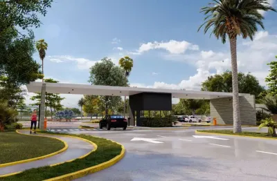 Pré lançamento na barra de são miguel - lote com 252m²