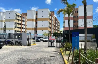 Apartamento com 2 dormitórios sendo 1 suíte no Bairro da Santa Amélia - 44m²