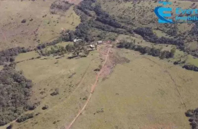 Fazenda com 36.64 alqueires (177.34 hectares) - perdizes - mg