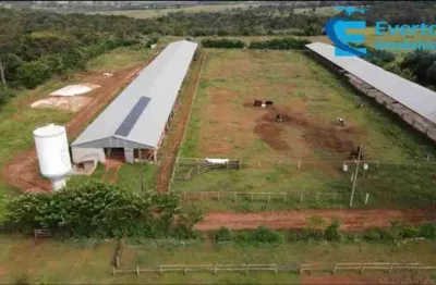 Chácara / sítio com 3 quartos à venda no Centro, Uberlândia 