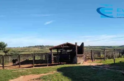 Fazenda à venda na Zona Rural, João Pinheiro 