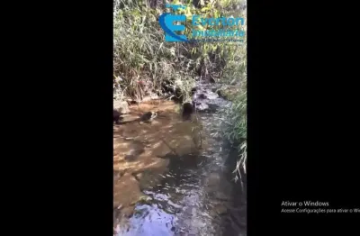 Oportunidade de venda: conheça esta excelente  fazenda  localizada no município de bias fortes, minas gerais!