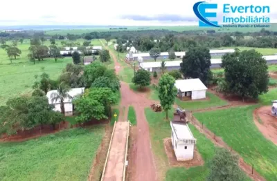 Fazenda em monte alegre de minas - mg com 74,30 hectares, ou seja, 15,35 alqueires